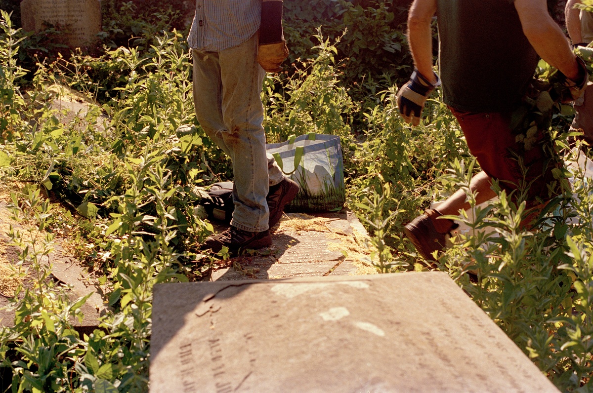 Gardening 17